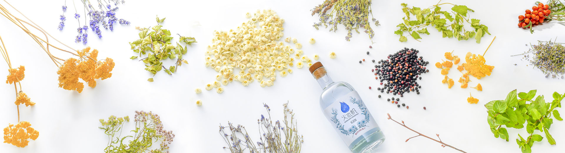 ��ð����ֲФ��� BOUQUET �֡�����